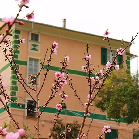 Appartamento Di Prestigio- Ca Da Lina - Deiva Marina Luaran gambar
