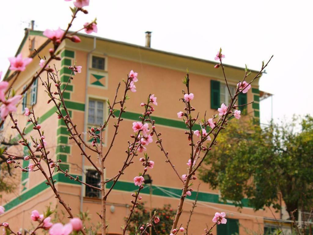 Appartamento Di Prestigio- Ca Da Lina - Deiva Marina Luaran gambar